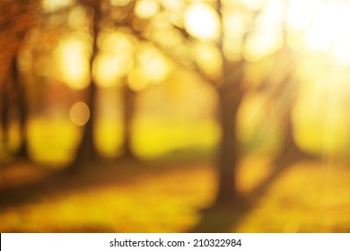 Bokeh Autumn Park Background. Bright Yellow And Red Sunny Trees Fall Bokeh Background.  