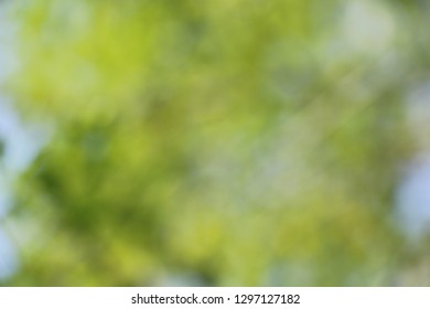 Bokeh background for design