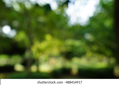 Blur background forest Images, Stock Photos & Vectors | Shutterstock