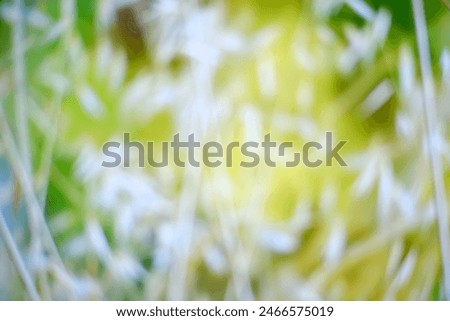 Bokeh blurred background of light Take photos from the sky and the LED screen can be used as a background or in various technical applications. Available in a variety of colors: blue, green, red, purp