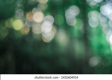 Bokeh, Forest,trees,greens In The Summer