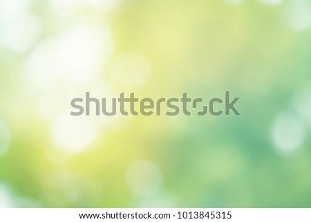 Bokeh Fresh green blur background,Abstract light of color from leaves and sky                               