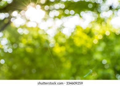 Bokeh Leaf With Sunlight,  Use For Background