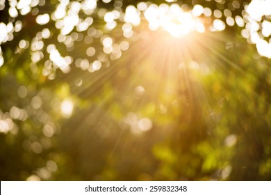 Bokeh leaf with sunlight, warm tone color use for background