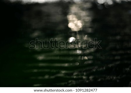 water on water with leaf padding