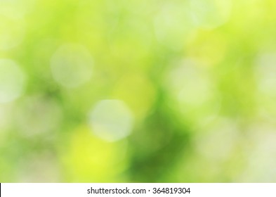 bokeh light yellow green abstract backgrounds textures