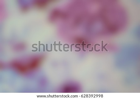 bokeh non focus background