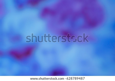 bokeh non focus background