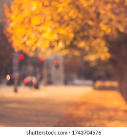 Bokeh Out Of Focus City Lights Scene During Fall In Chicago