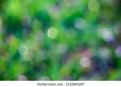 bokeh painting used for overlays or digital under paintings. - Shutterstock ID 2132841607