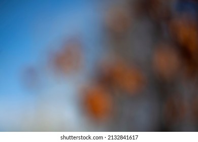 bokeh painting used for overlays or digital under paintings. - Shutterstock ID 2132841617