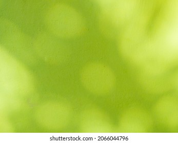 bokeh shadow of leaves on green wall