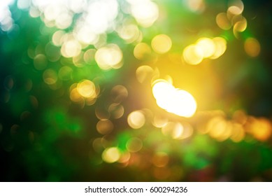 Bokeh Summer