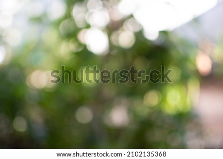 Bokeh of various colors of garden and field with vegetation. Very blurry background for them to write on top