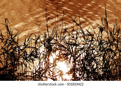 Bokeh of water reflection