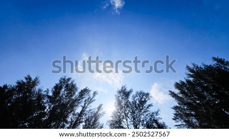A bold blue sky, bordered by dark trees and dotted with thick, white, fluffy clouds.