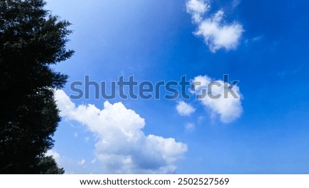 A bold blue sky, bordered by dark trees and dotted with thick, white, fluffy clouds.
