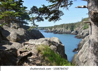 Bold Coast Trail. Northern Maine.