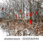Bold red in winter 