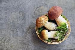 Boletus Edulis Mushrooms In A Basket On Old Wooden Background.Autumn Cep Porcini Mushrooms.White Mushroom.