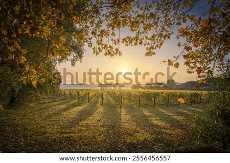 Similar – Image, Stock Photo Rural landscape in Tuscany near Pienza