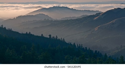 Bolinas Ridge, Calfiornia