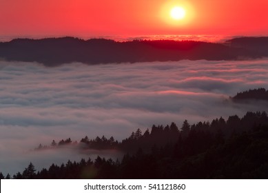 Bolinas Ridge, Calfiornia