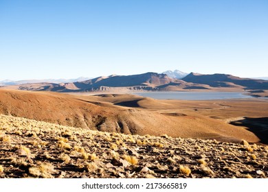 Bolivian Landscape, Morejon Lagoon View, Bolivia. Andes Plateau