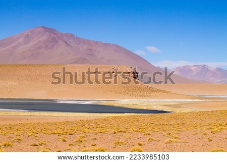 Bolivian mountains landscape,Bolivia.Andean plateau view