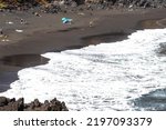 Bollullo Beach with black sand in Puerto de la Cruz city at background. Tenerife. Canary Islands. Spain