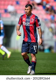 Bologna, Italy, October 03, 2021, Gary Medel (Bologna) Portrait During Italian Football Serie A Match Bologna FC Vs SS Lazio