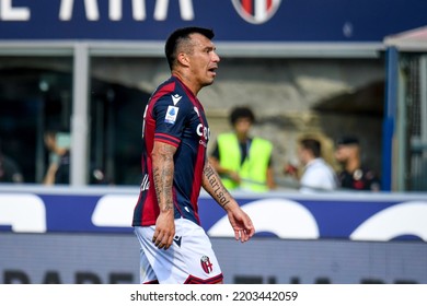 Bologna, Italy, September 11, 2022, Bologna's Gary Medel Portrait During Italian Soccer Serie A Match Bologna FC Vs ACF Fiorentina
