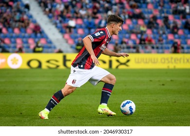 Bologna, Italy, September 21, 2021, Riccardo Orsolini (Bologna) Portrait In Action During Italian Football Serie A Match Bologna FC Vs Genoa CFC