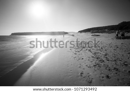 Similar – Image, Stock Photo Andalusia in winter