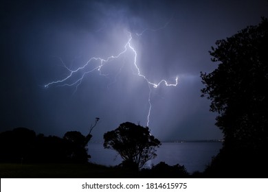 244 Lightning cow Images, Stock Photos & Vectors | Shutterstock