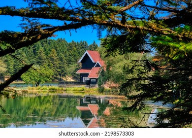 Bolu Gölcük, A Natural Wonder Lake And A House With A Red Roof