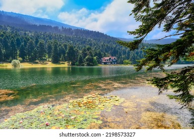 Bolu Gölcük, A Natural Wonder Lake And A House With A Red Roof