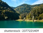 Bolu, Turkey - October 15 2023: View of Suluklu Lake Natural Park which means Lake of the Leeches, with landscape of autumn colors 