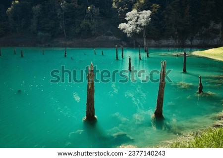 Bolu, Turkey - October 15 2023: View of Suluklu Lake Natural Park which means Lake of the Leeches, with the tree remains in the water