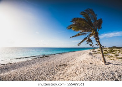 Bonaire Pink Beach.