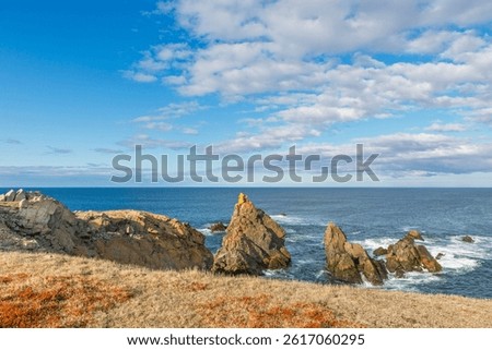 Bonavista, Newfoundland, Canada. Dungeon Provincial Park UNESCO Geosite. Blue sky, clouds. Dungeon Road Beach, the jaggy coast. Tourist attractions, geological wonders. 