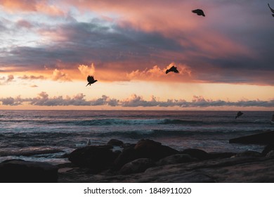 Bondi Beach Sunrise Pretty Clouds