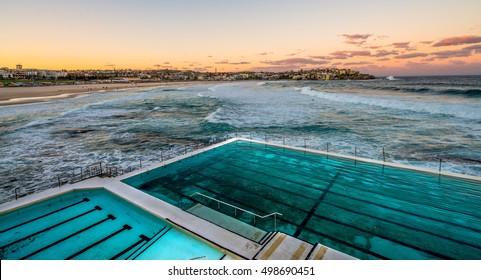 Bondi Icebergs Pool At Dawn