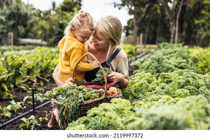 Bonding in the garden. Happy young mother smiling cheerfully while carrying her daughter and picking fresh kale in a vegetable garden. Self-sufficient family gathering fresh produce on their farm. - Powered by Shutterstock