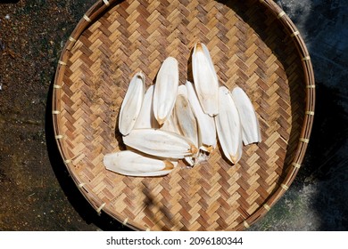 Bone of cuttlefish drying in sunlight Bamboo container