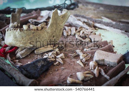 Bone Fragments found at the Killing Fields, Cambodia