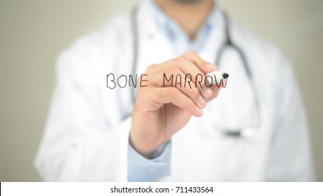 Bone Marrow , Doctor writing on transparent screen