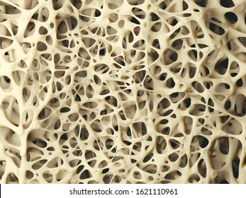 Bone spongy structure close-up, healthy texture of bone