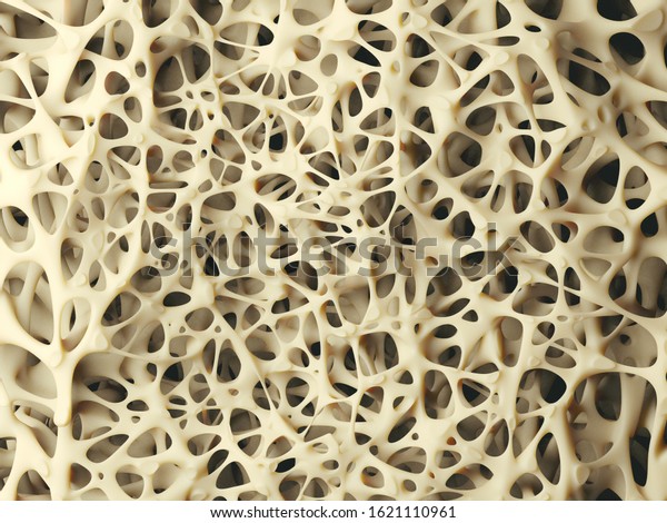 Bone\
spongy structure close-up, healthy texture of\
bone