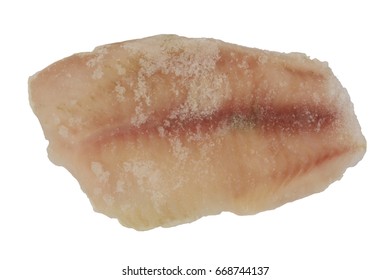 Boneless  frozen Tilapia fish filet on white background. Left side.